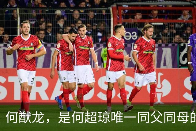 何猷龙，是何超琼唯一同父同母的亲弟弟