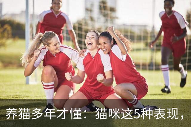 养猫多年才懂：猫咪这5种表现，不是撒娇，是旺家的征兆