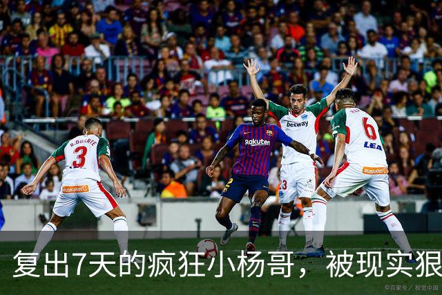 复出7天的疯狂小杨哥，被现实狠狠打了一巴掌