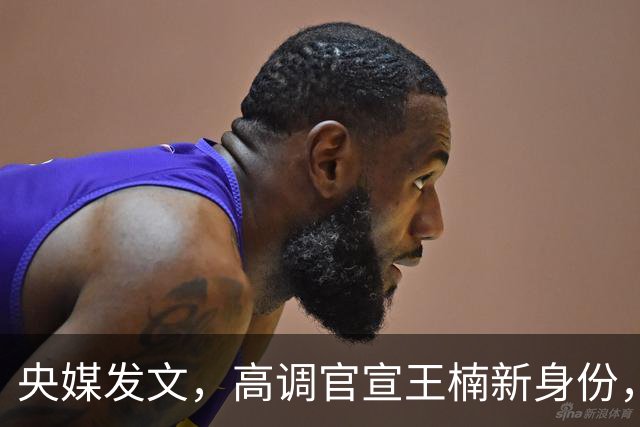 央媒发文，高调官宣王楠新身份，资产查封被带走调查传闻早有答案