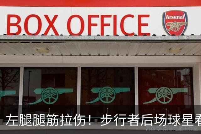 左腿腿筋拉伤！步行者后场球星看起来需要休战一段时间？