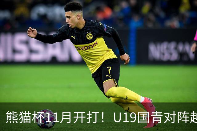 熊猫杯11月开打！U19国青对阵越南塔吉克斯坦韩国