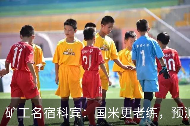 矿工名宿科宾：国米更老练，预测3-3平矿工