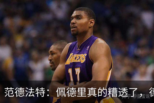 范德法特：佩德里真的糟透了，德容没有必要害怕竞争