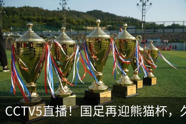 CCTV5直播！国足再迎熊猫杯，久尔杰维奇带队战劲旅，目标=时隔8年再度夺冠